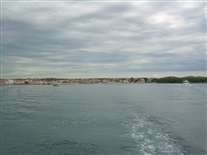 Click for large image